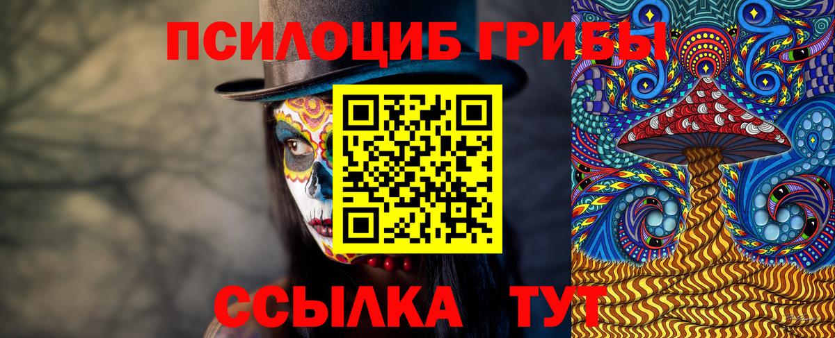 Галлюциногенные грибы Psilocybe Изобильный