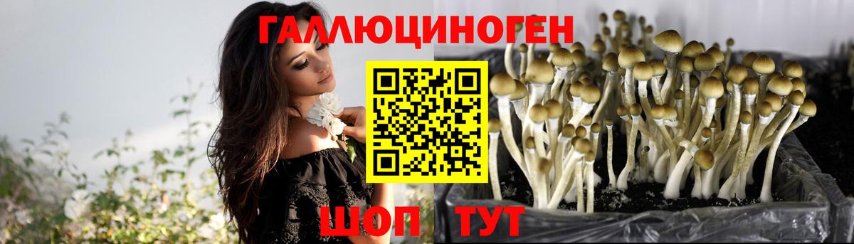 Изобильный  Псилоцибиновые грибы Psilocybine cubensis  Вход с VPN  Галлюциногенные грибы мухоморы 